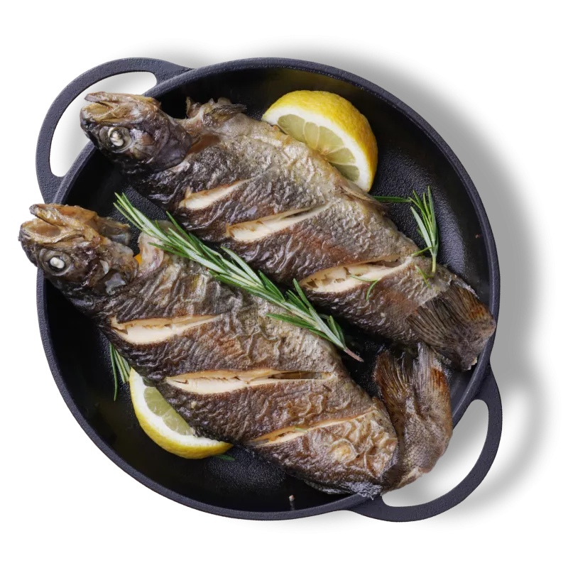 Pește Pastrav la cuptor - 1